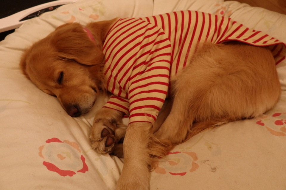 ファイル 7885-5.jpg