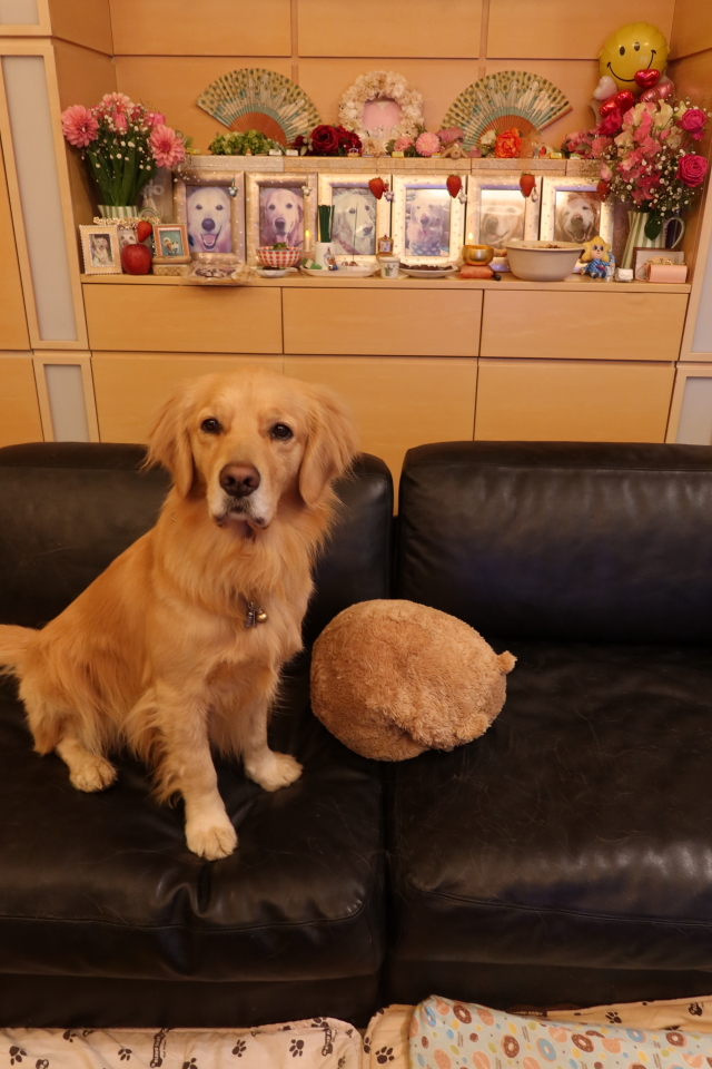 ファイル 7887-2.jpg