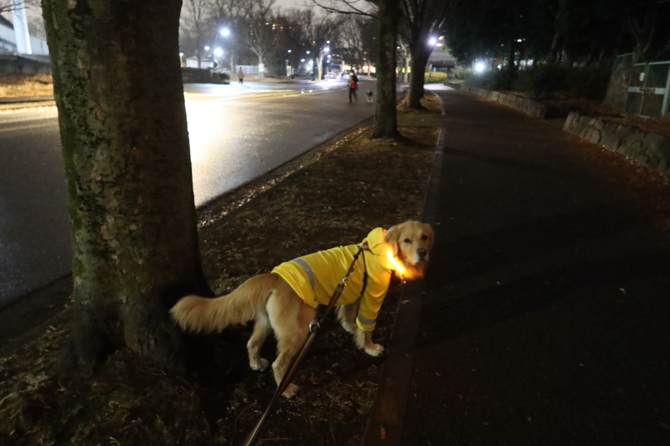 ファイル 7887-4.jpg