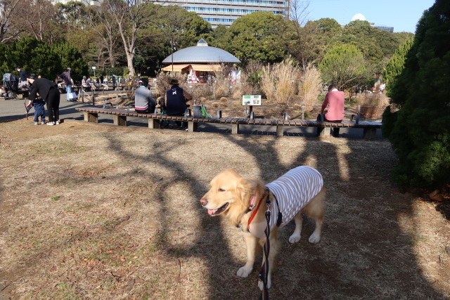 ファイル 7889-1.jpg