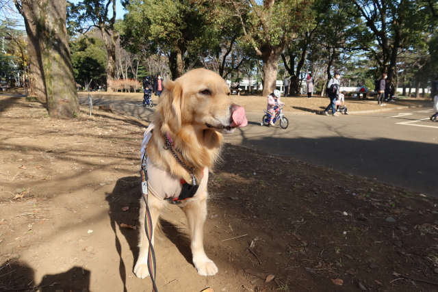 ファイル 7889-2.jpg