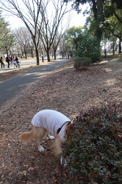 ファイル 7889-3.jpg