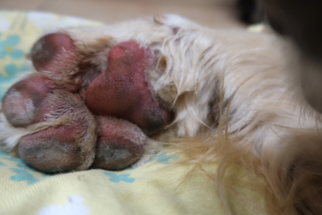 ファイル 7889-4.jpg