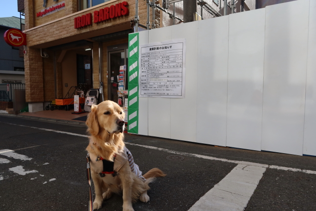 ファイル 7889-5.jpg