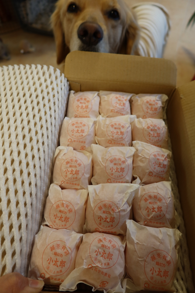 ファイル 7890-4.jpg