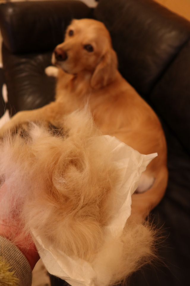 ファイル 7891-3.jpg