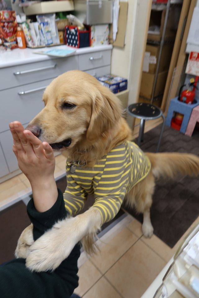 ファイル 7891-5.jpg