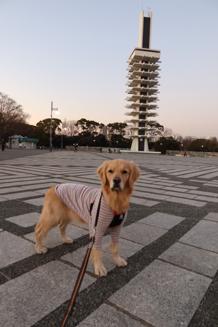 ファイル 7894-4.jpg