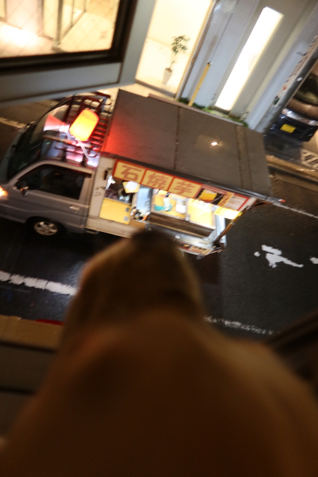 ファイル 7899-1.jpg