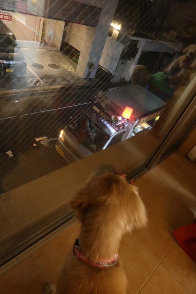 ファイル 7899-2.jpg