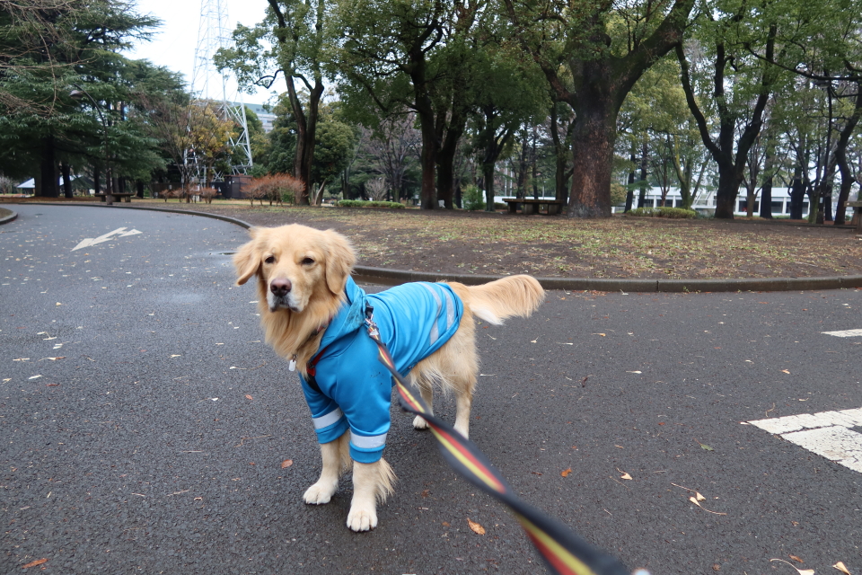 ファイル 7899-4.jpg