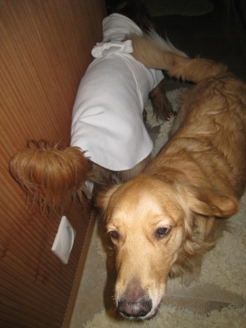 ファイル 790-4.jpg