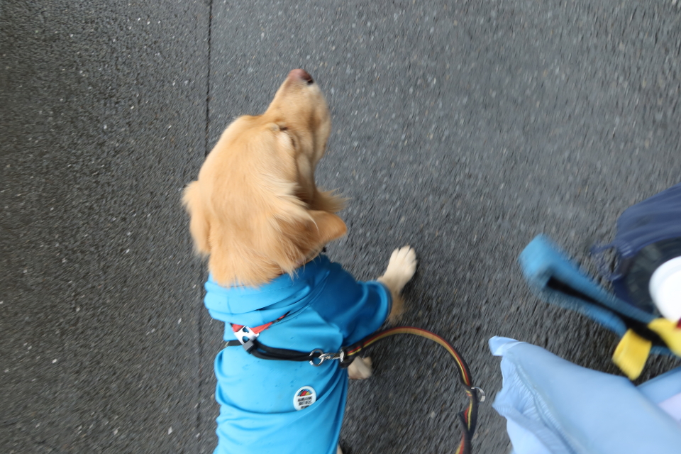 ファイル 7900-1.jpg