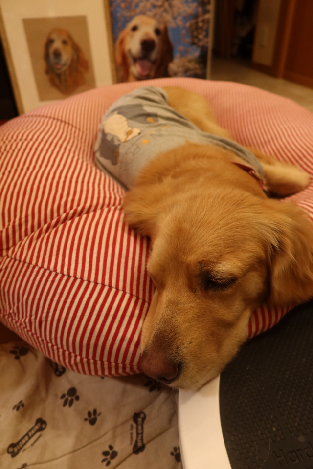 ファイル 7900-4.jpg