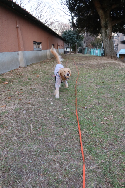 ファイル 7900-5.jpg