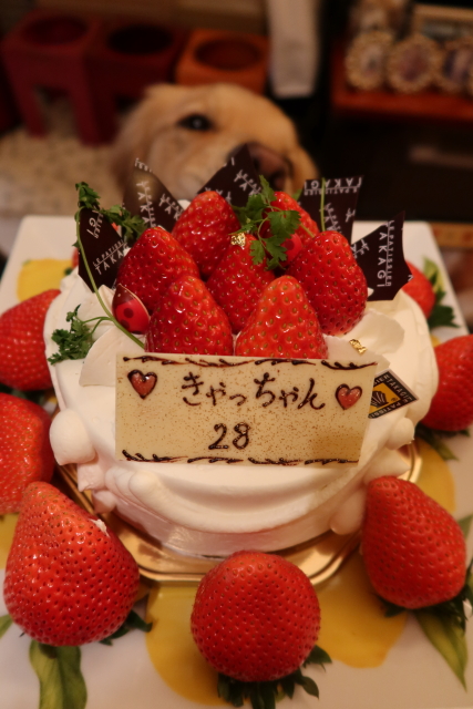 ファイル 7901-5.jpg