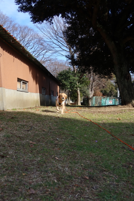 ファイル 7902-1.jpg