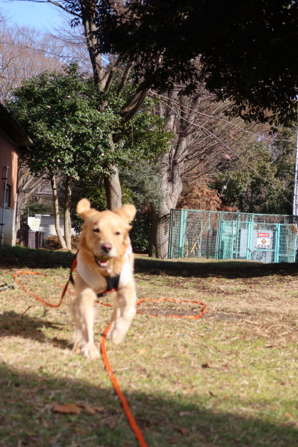 ファイル 7902-2.jpg