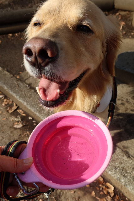 ファイル 7902-3.jpg