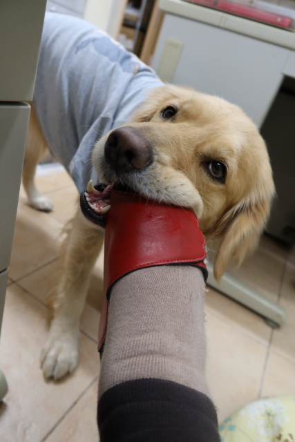 ファイル 7902-4.jpg