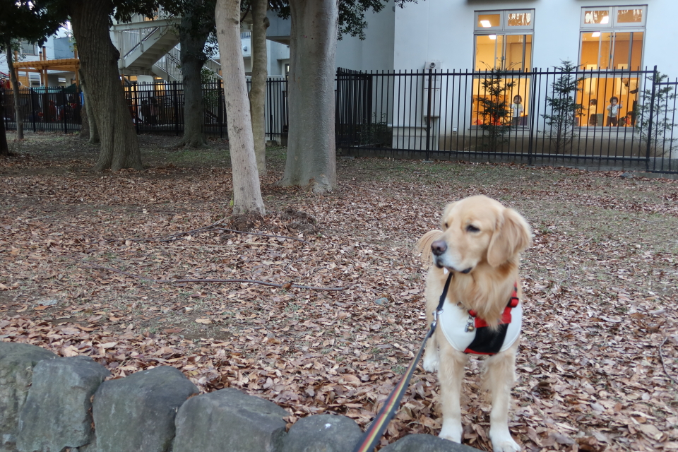 ファイル 7903-1.jpg