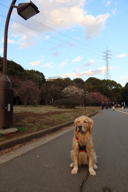 ファイル 7905-2.jpg