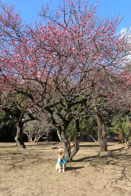 ファイル 7905-3.jpg