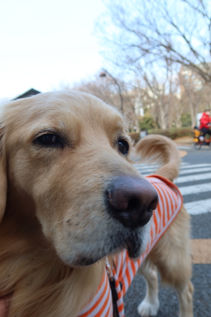 ファイル 7907-3.jpg