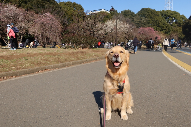 ファイル 7912-2.jpg