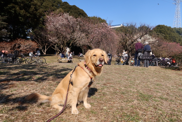 ファイル 7912-4.jpg