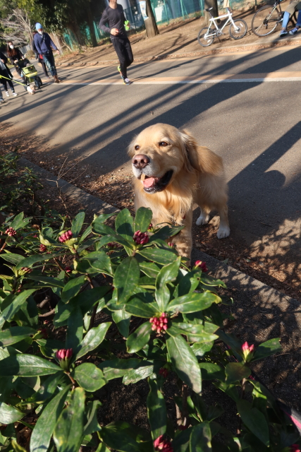 ファイル 7913-3.jpg