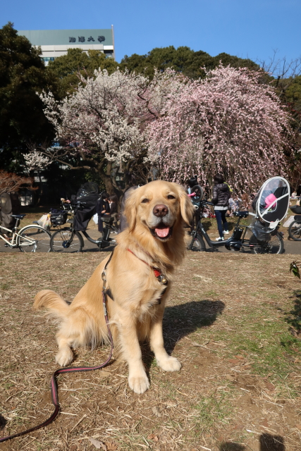 ファイル 7918-2.jpg