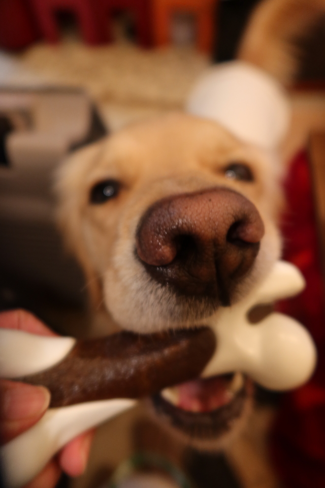 ファイル 7919-1.jpg