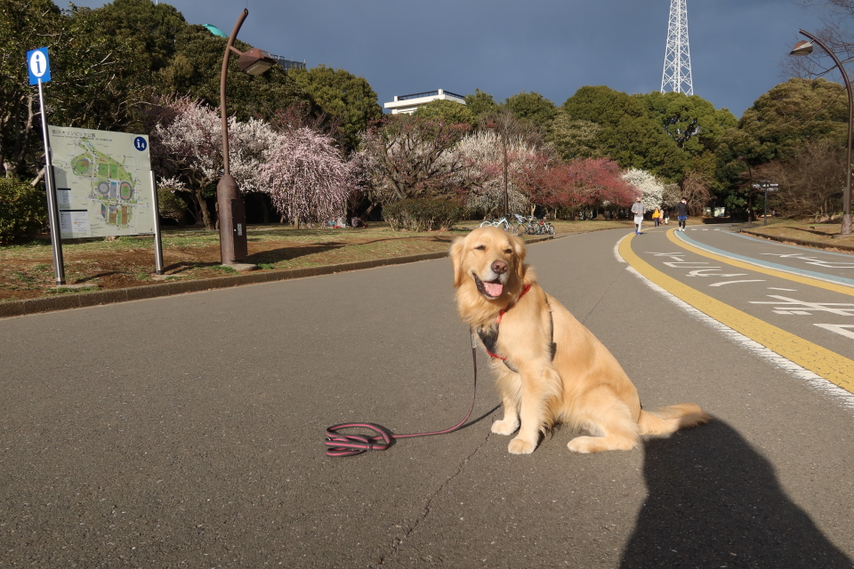 ファイル 7923-4.jpg