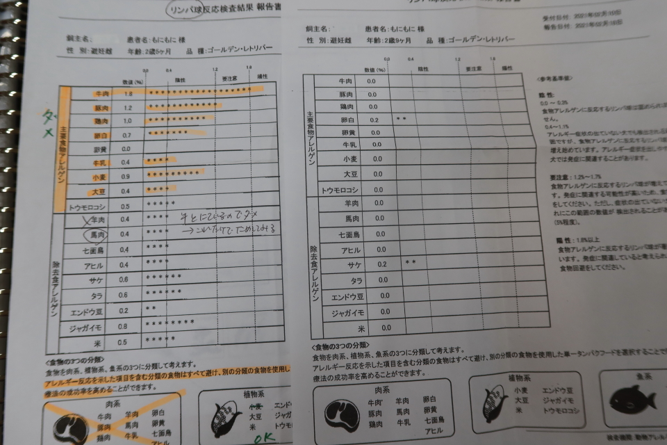 ファイル 7925-1.jpg