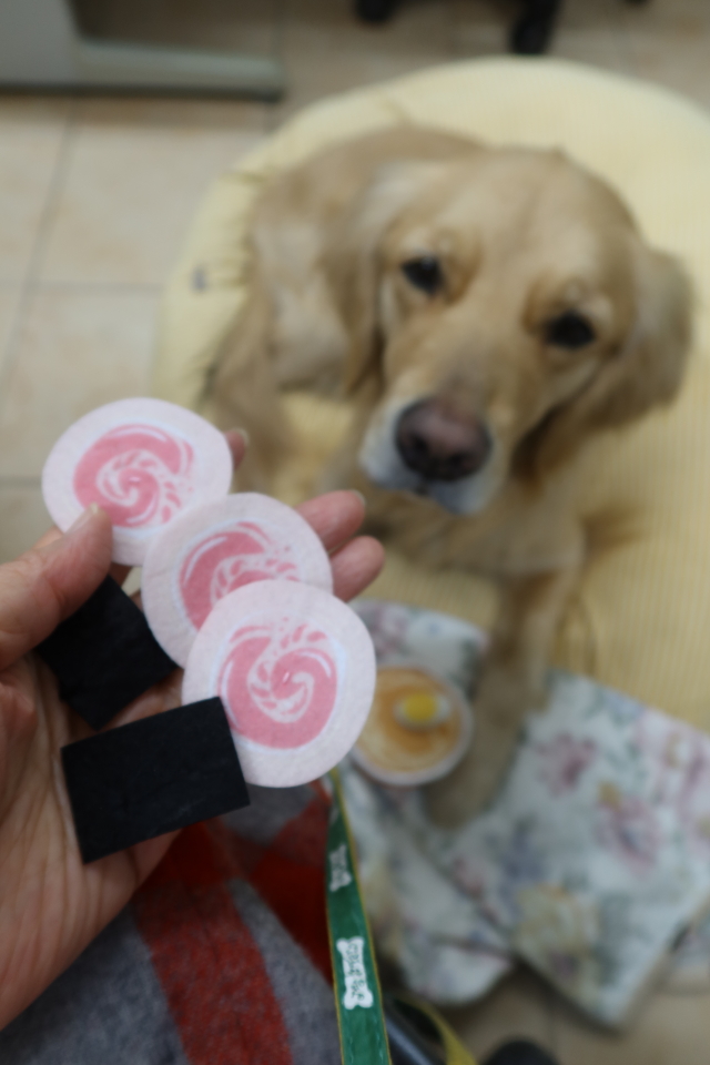 ファイル 7927-1.jpg