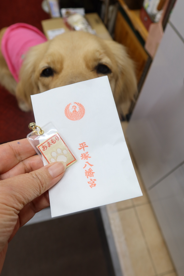 ファイル 7927-2.jpg