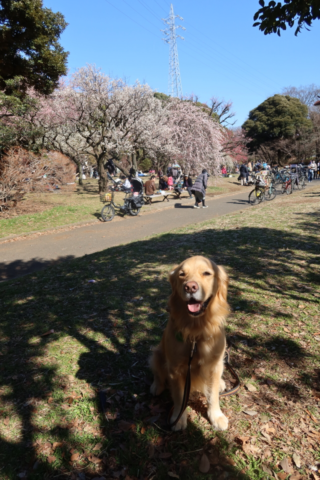 ファイル 7927-3.jpg