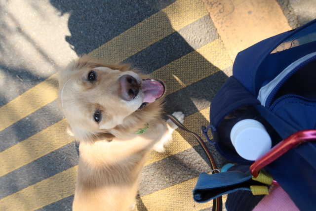 ファイル 7928-3.jpg