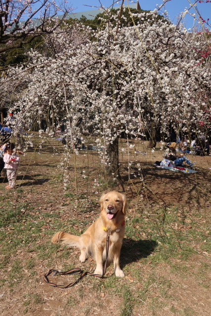 ファイル 7929-3.jpg