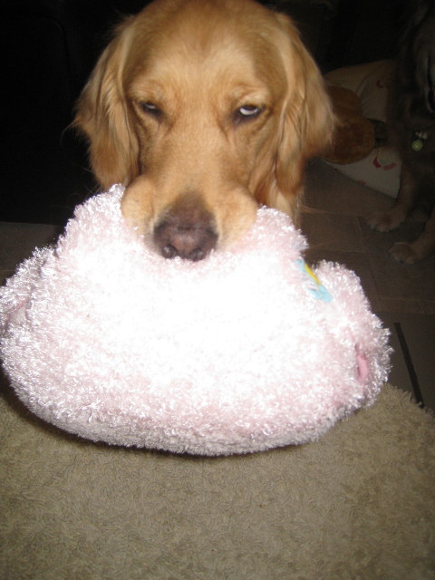 ファイル 793-1.jpg