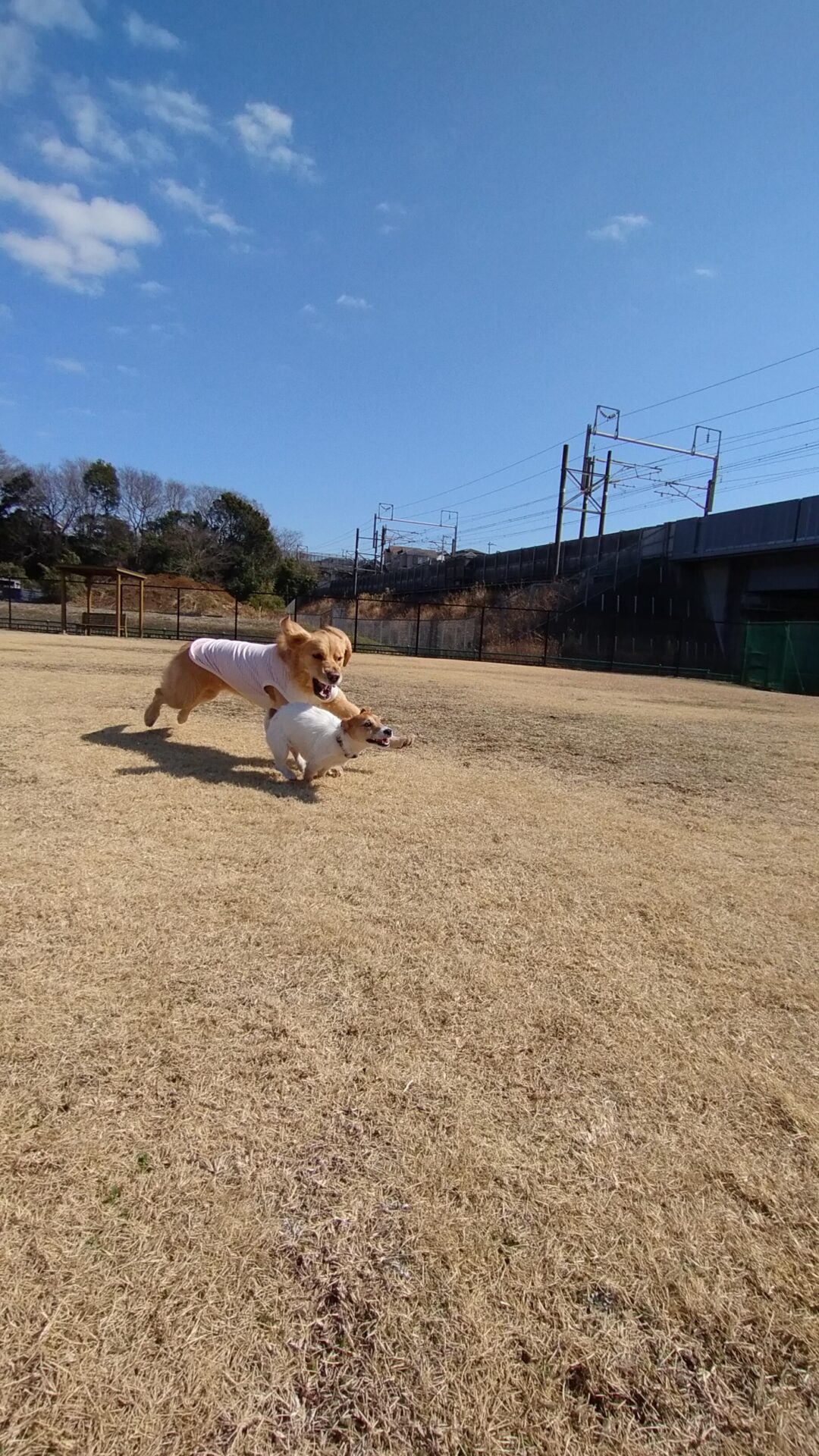 ファイル 7931-1.jpg