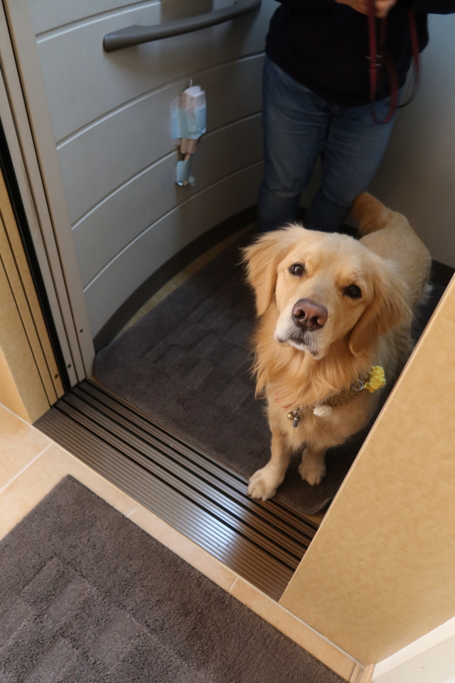 ファイル 7933-1.jpg