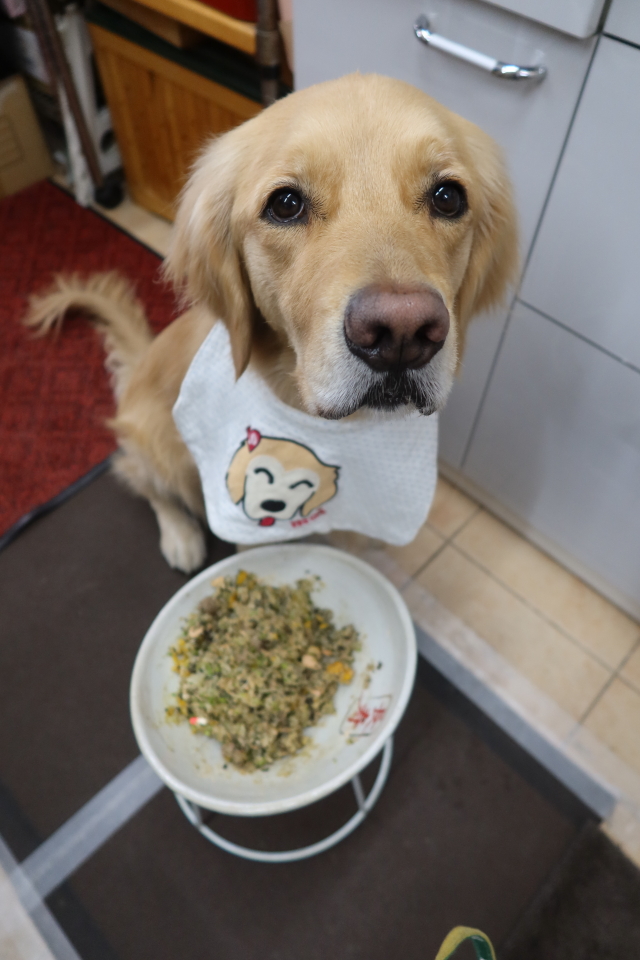 ファイル 7933-2.jpg