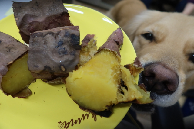 ファイル 7933-3.jpg