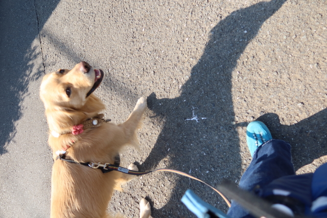 ファイル 7933-5.jpg