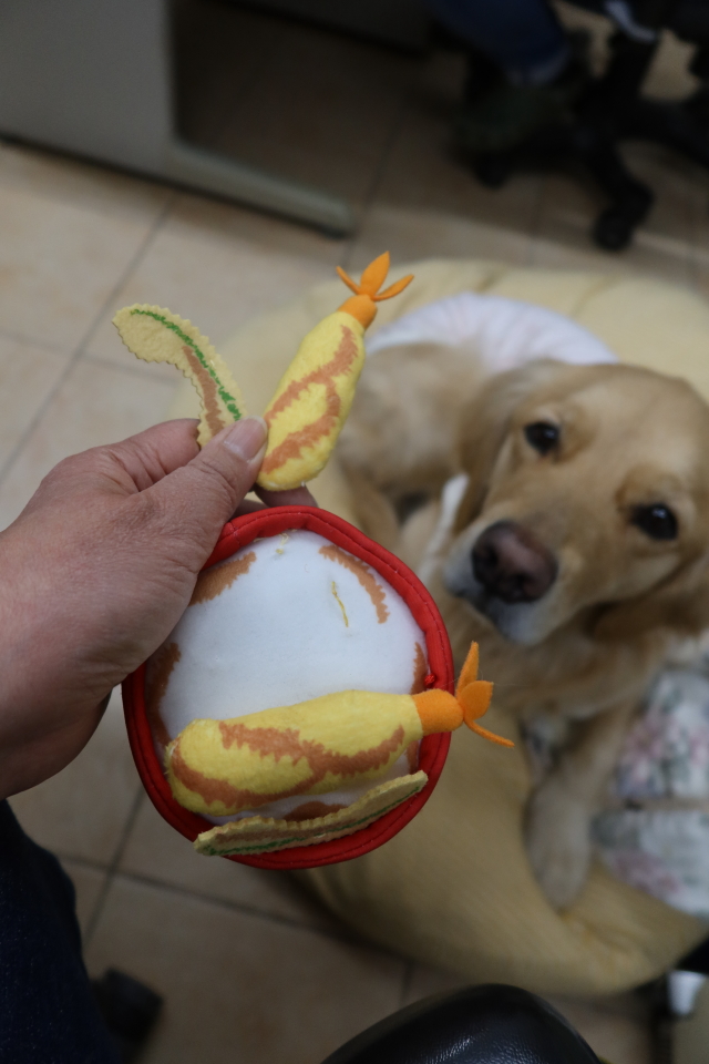 ファイル 7934-3.jpg