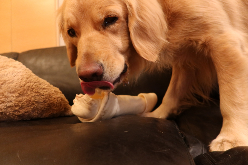 ファイル 7934-5.jpg