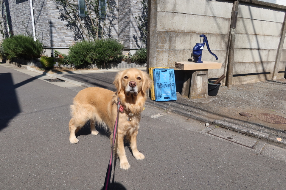 ファイル 7935-2.jpg