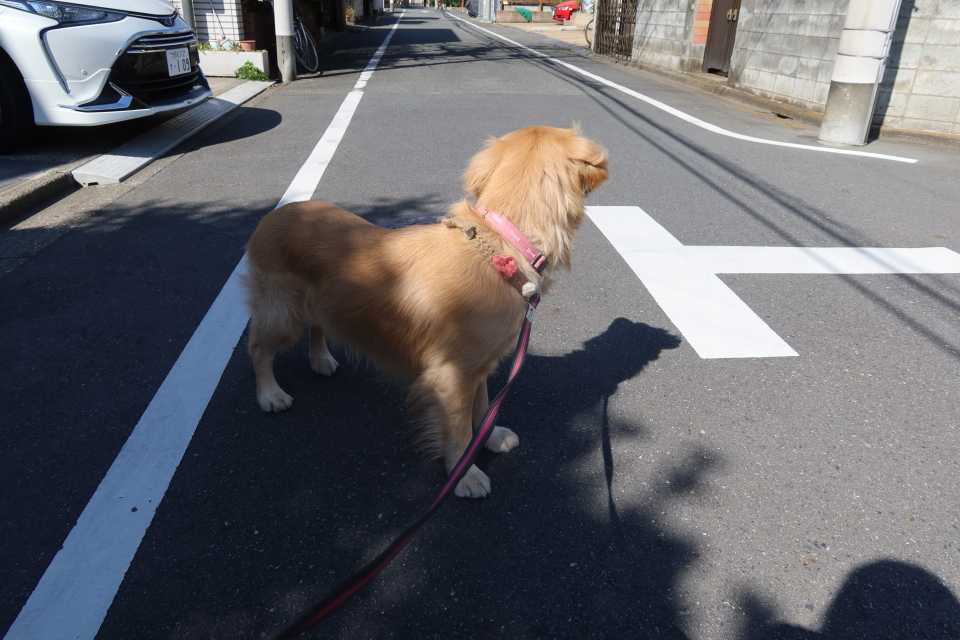 ファイル 7935-4.jpg